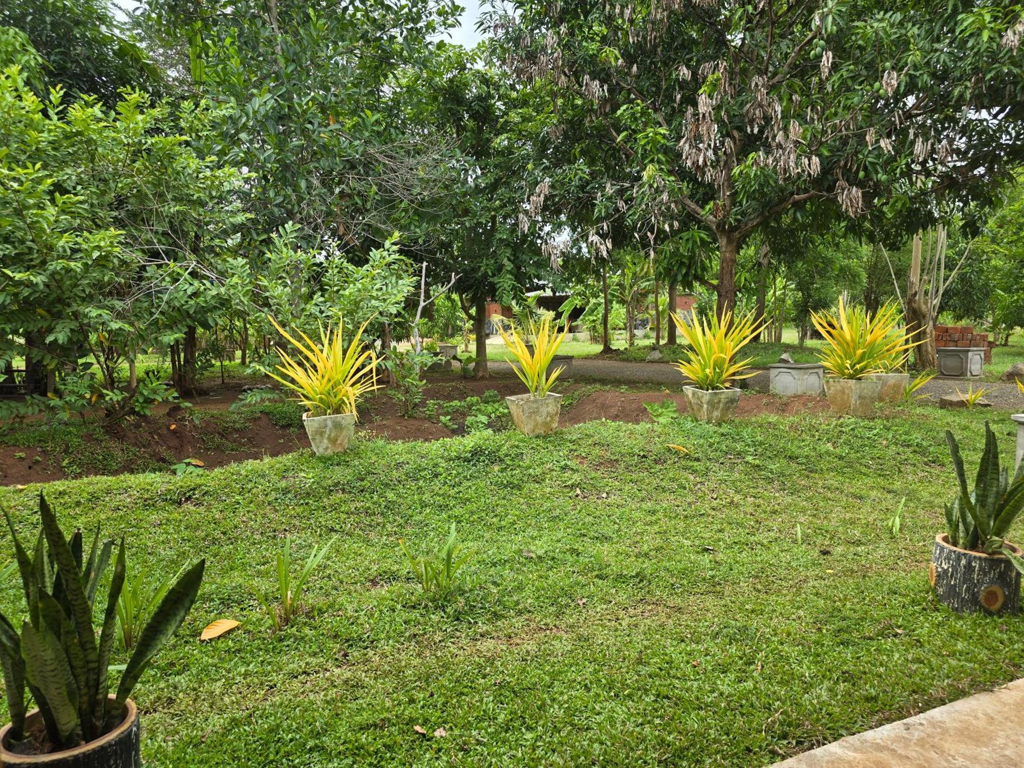 Ceylon Resort Parque Nacional Wilpattu Exterior foto