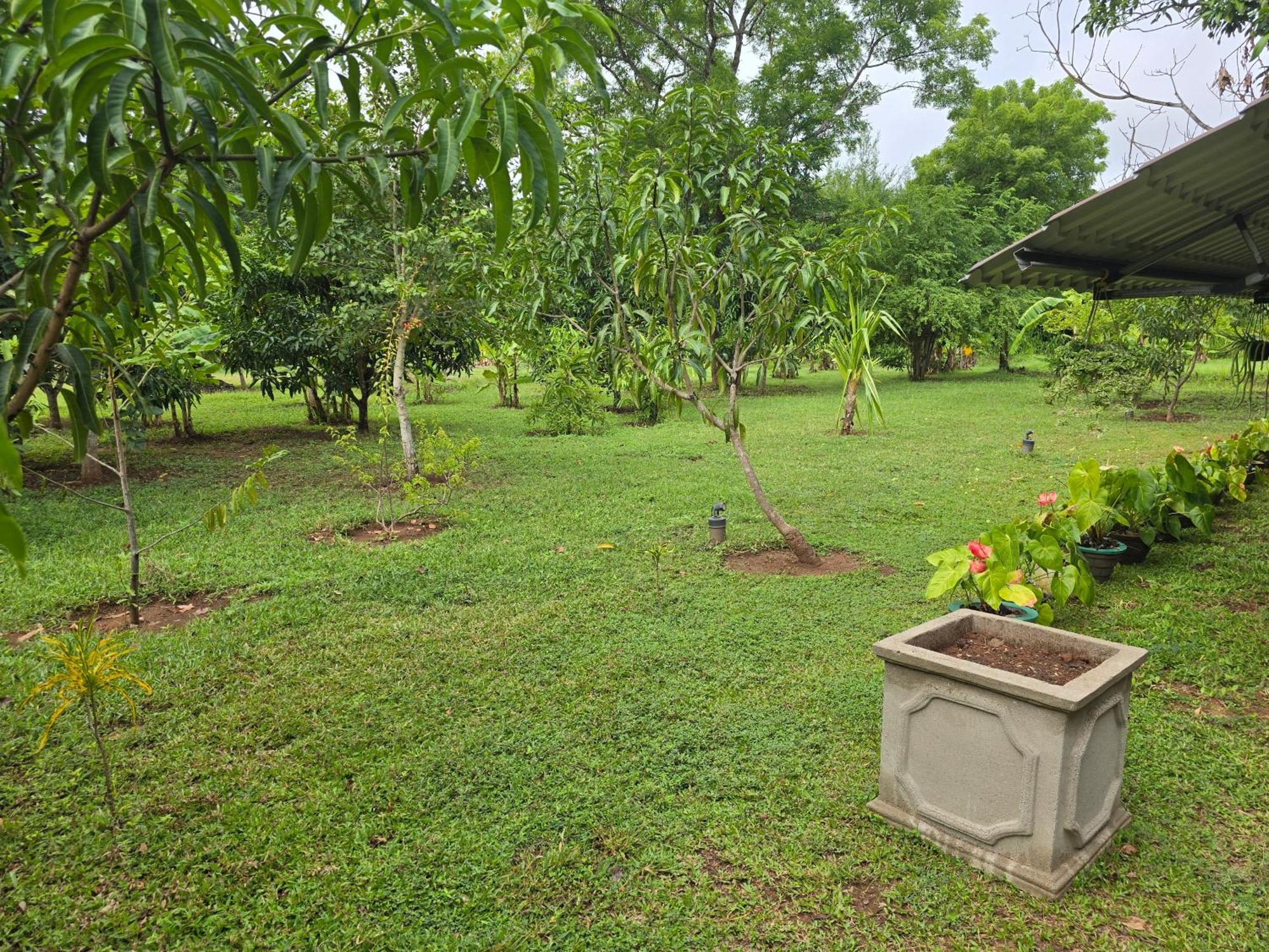 Ceylon Resort Parque Nacional Wilpattu Exterior foto
